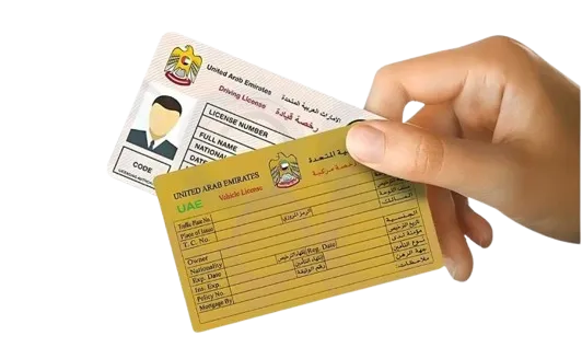 Customer service counters for vehicle registration and renewal